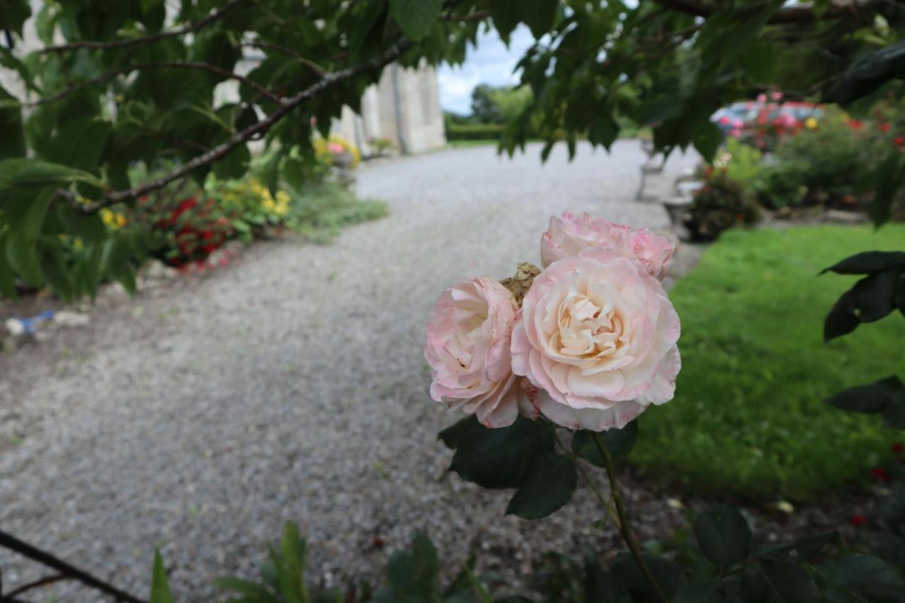 Lorum Old Rectory Bagenalstown Kültér fotó